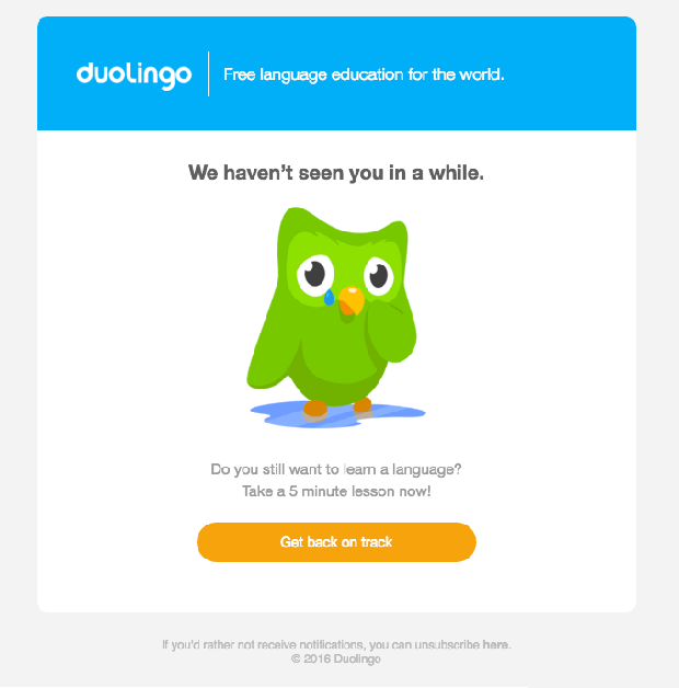 We Miss You Duolingo Email