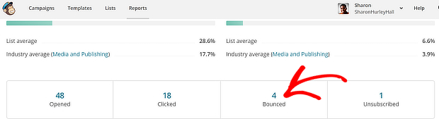 mailchimp bounces - email deliverability best practices