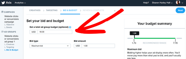 twitter ads set budget