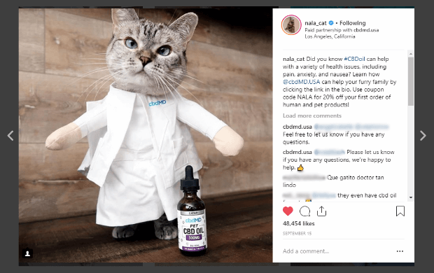 influencer marketing how to nala_cat