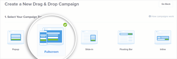 fullscreen campaign type is perfect for creating a squeeze page