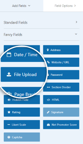 add file upload field