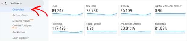 google analytics audience overview