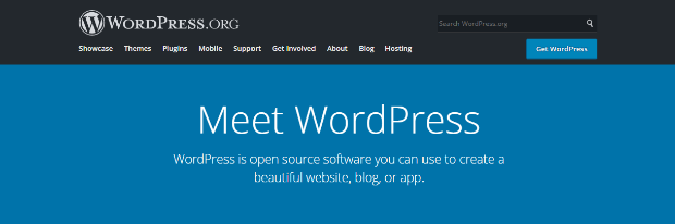 WordPress homepage