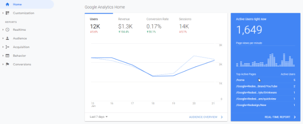 google analytics overview report