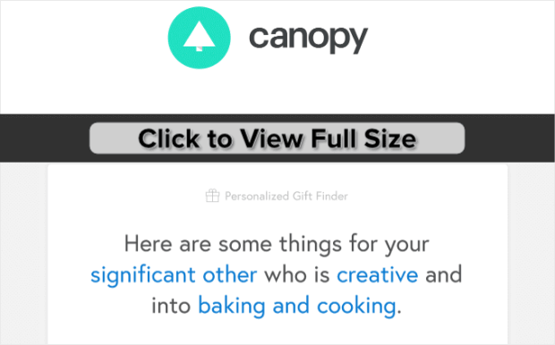 Canopy-Website-Behavior-Email