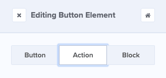 Edit Action button