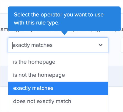 Exactly matches for display rules