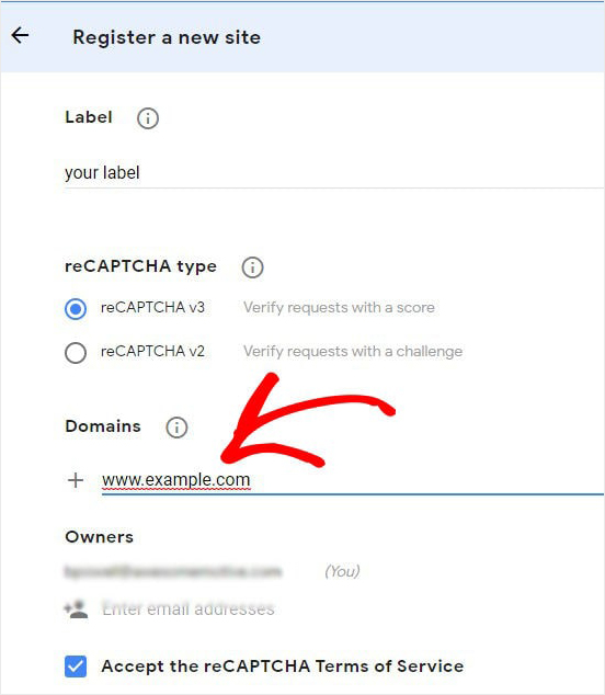 Google recaptcha domain name