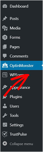 OptinMonster in WordPress-min