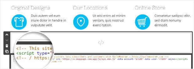 OptinMonster embed code Jimdo