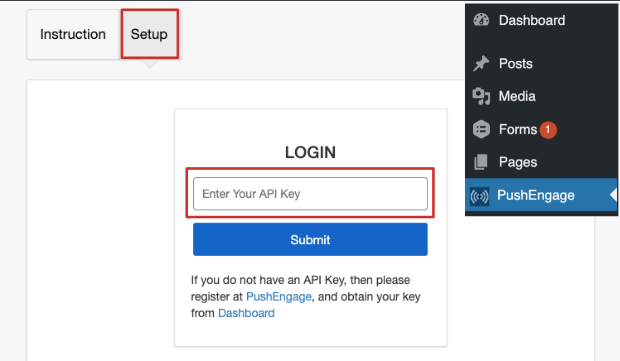 enter api key