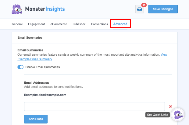 MonsterInsights advanced options