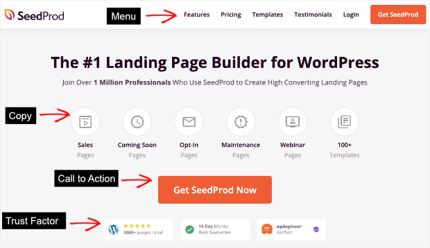 seedprod homepage example