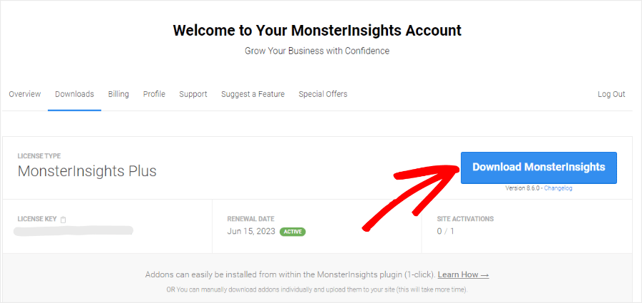 download MonsterInsights