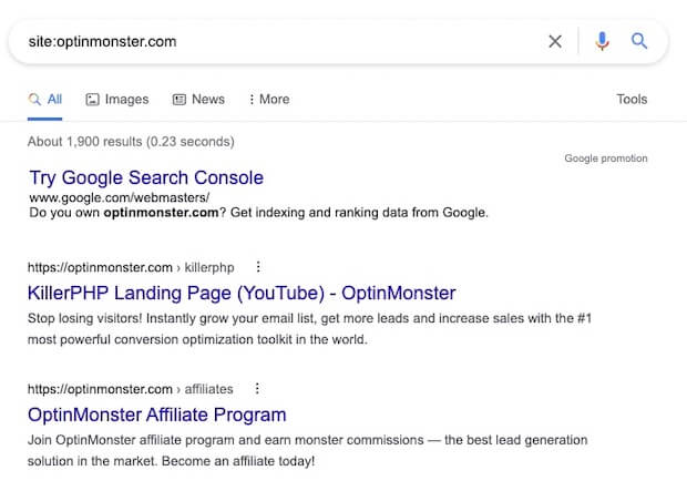 SERP Indexed Results Using the site: Search Operator