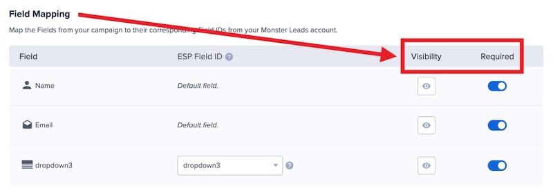 Configure optional settings for mapped fields in OptinMonster.