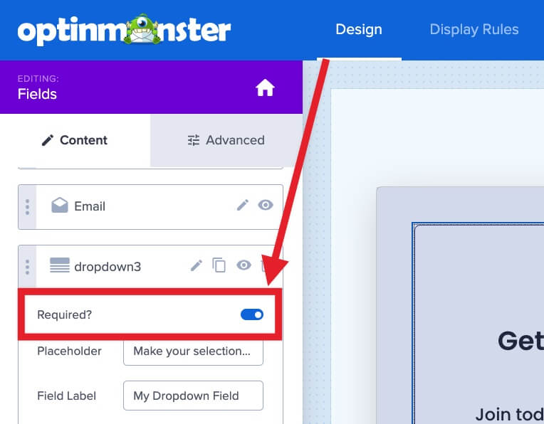 Make any field required in OptinMonster.